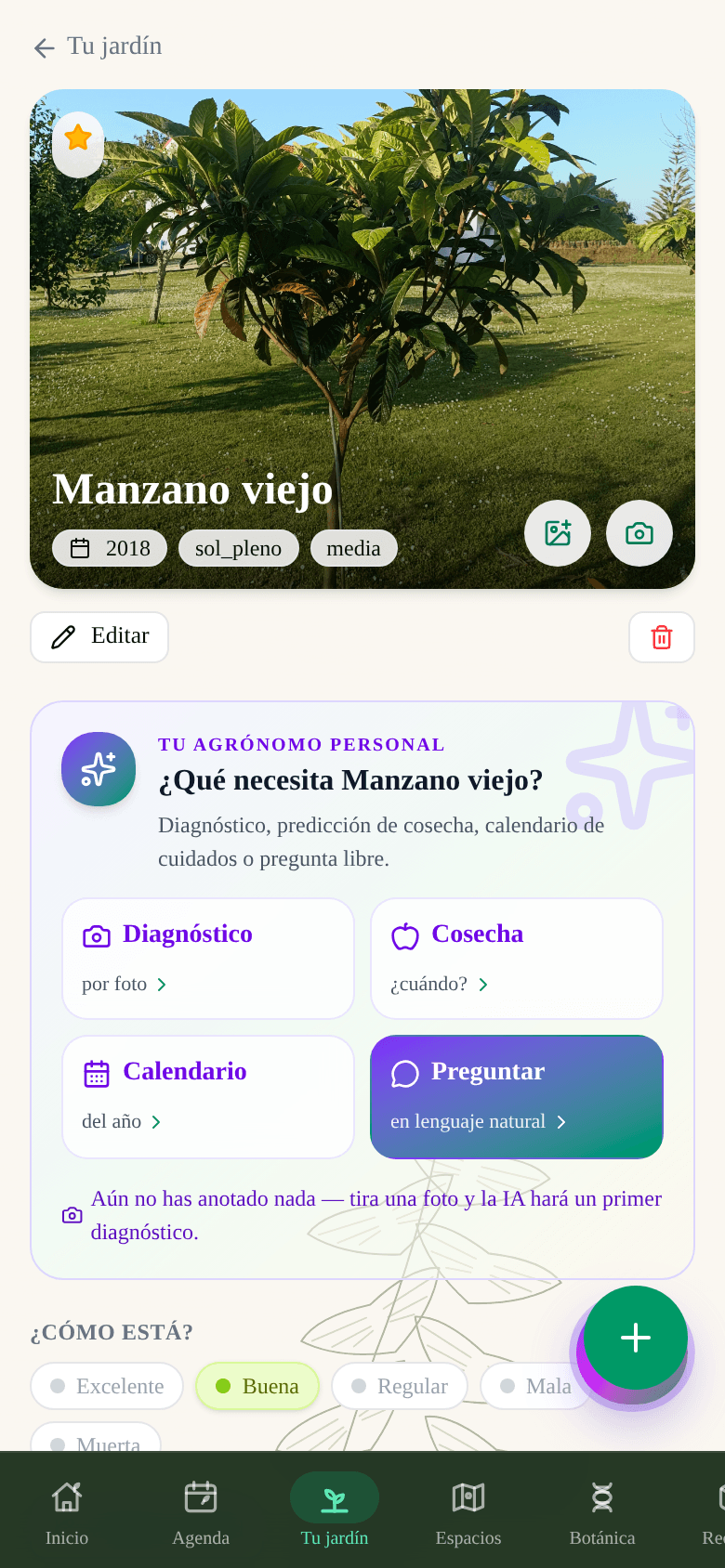Demeter — Planta